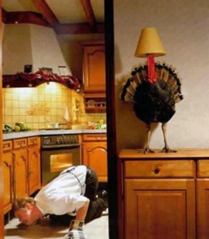 christmasturkeyf.jpg