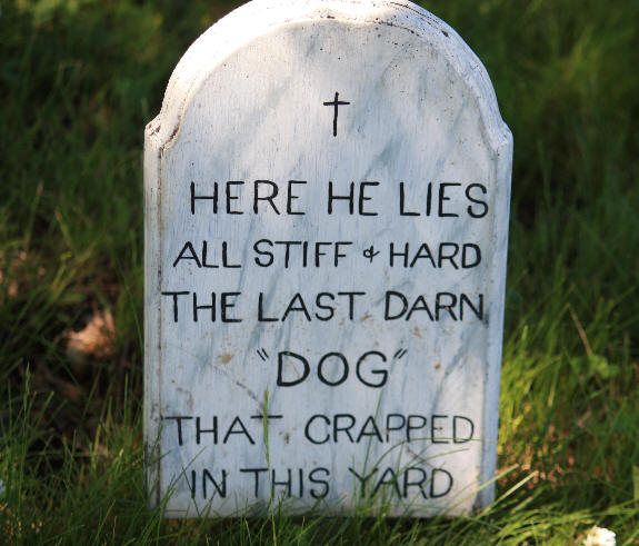 dog-warning.jpg